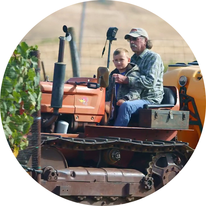 Micro-Winery Guild: keurmerk T.A.S.T.E. voor kleine familiebedrijven in Napa en Sonoma