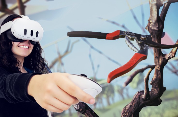 Wedstrijd snoeien in de wijngaard — illustratie bij Jeux Olympiques de la vigne op Vinitech in Bordeaux