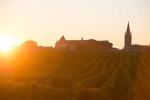 Wijngaard in Saint-Émilion, Bordeaux — World of Fine Wine
