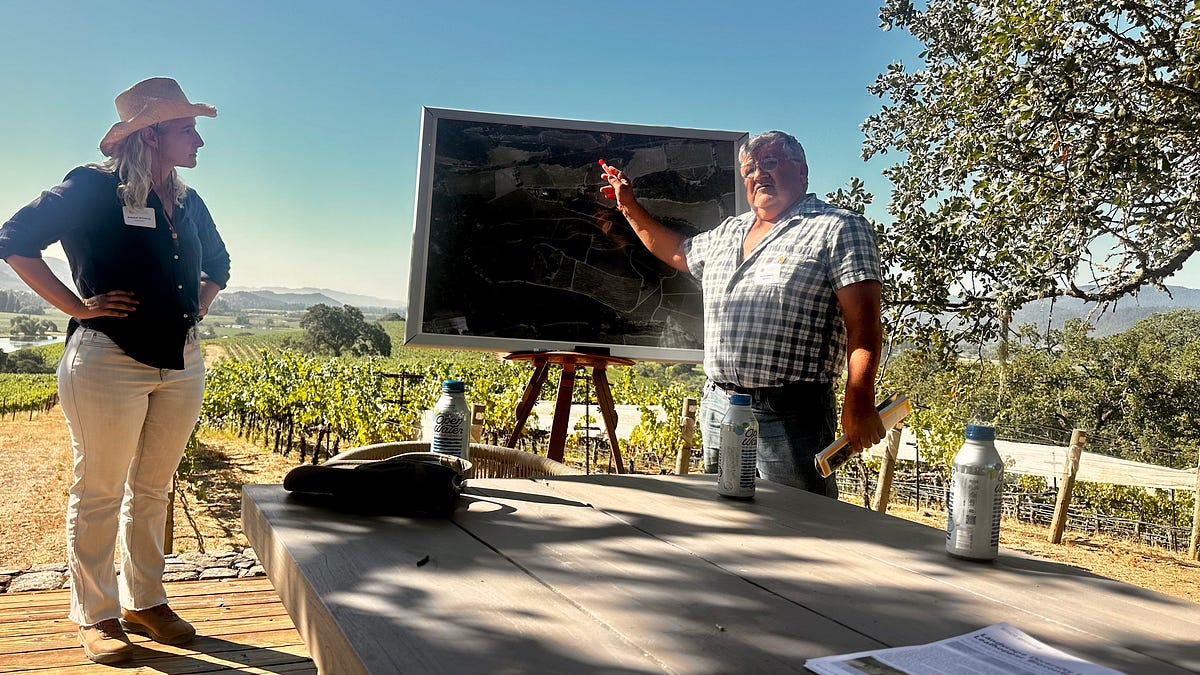 Velddag bij Quintessa over organic, biodynamisch en biodiversiteit in Napa
