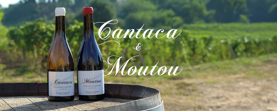 Domaine Lafage Moutou, regeneratieve teelt in de Roussillon
