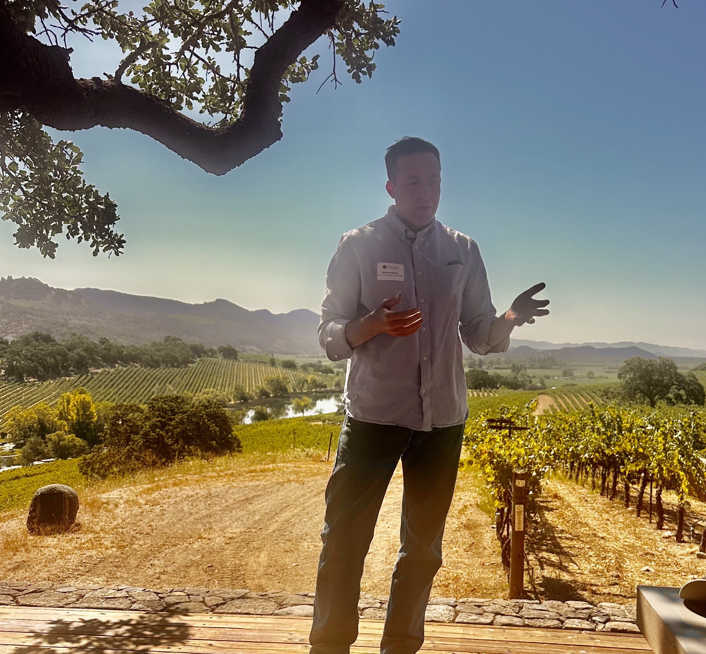 Organic field day Napa Valley, Houston Wilson