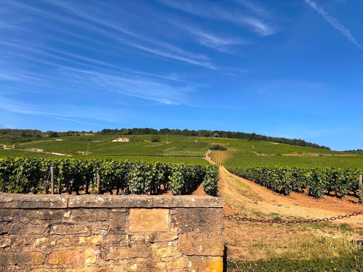 Vroege oogst in de Bourgogne