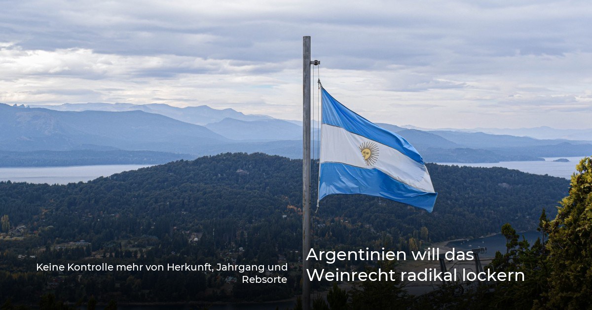 Argentijnse vlag boven landschap met bergen, bos en water