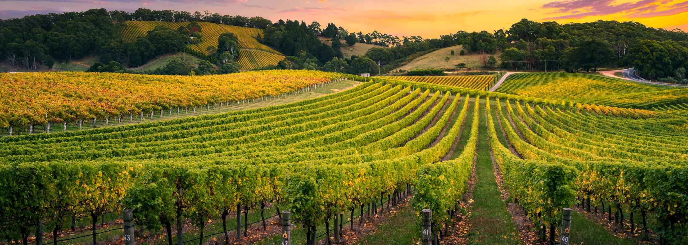 Banner van Der Deutsche Weinbau bij het artikel over milieubeweringen