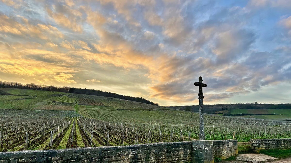 Grand crus van Domaine de la Romanée-Conti in de Côte de Nuits