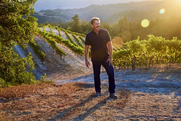 Wijngaard van Jackson Family Wines in Napa Valley