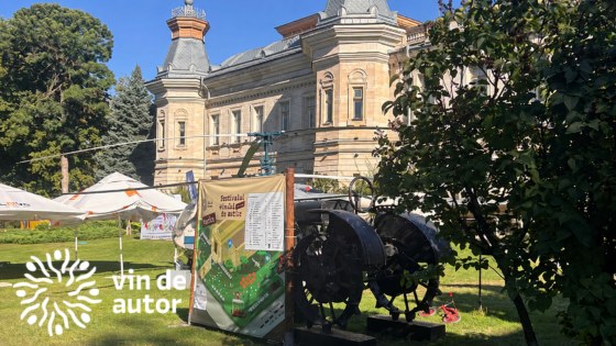 Vin de Autor wijnfestival in Chișinău, Moldavië