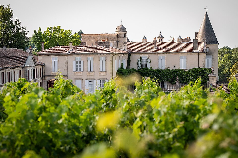 Château Lafite gezien vanuit de wijngaard