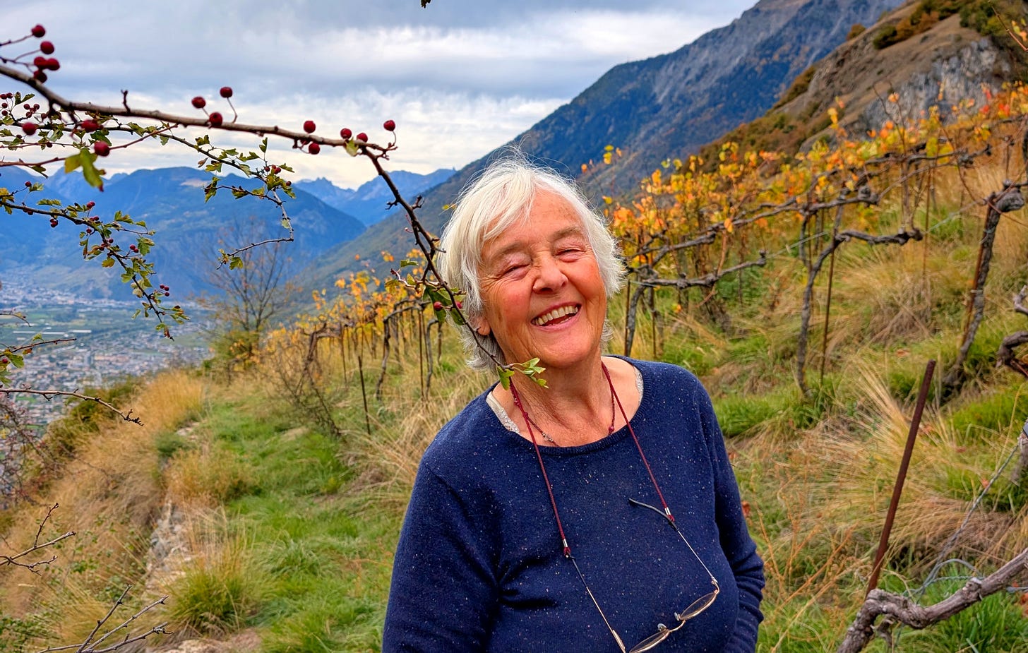 Wijngaard Domaine de Beudon in Valais