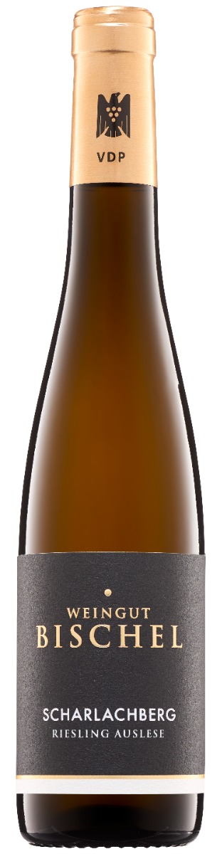 Bischel
