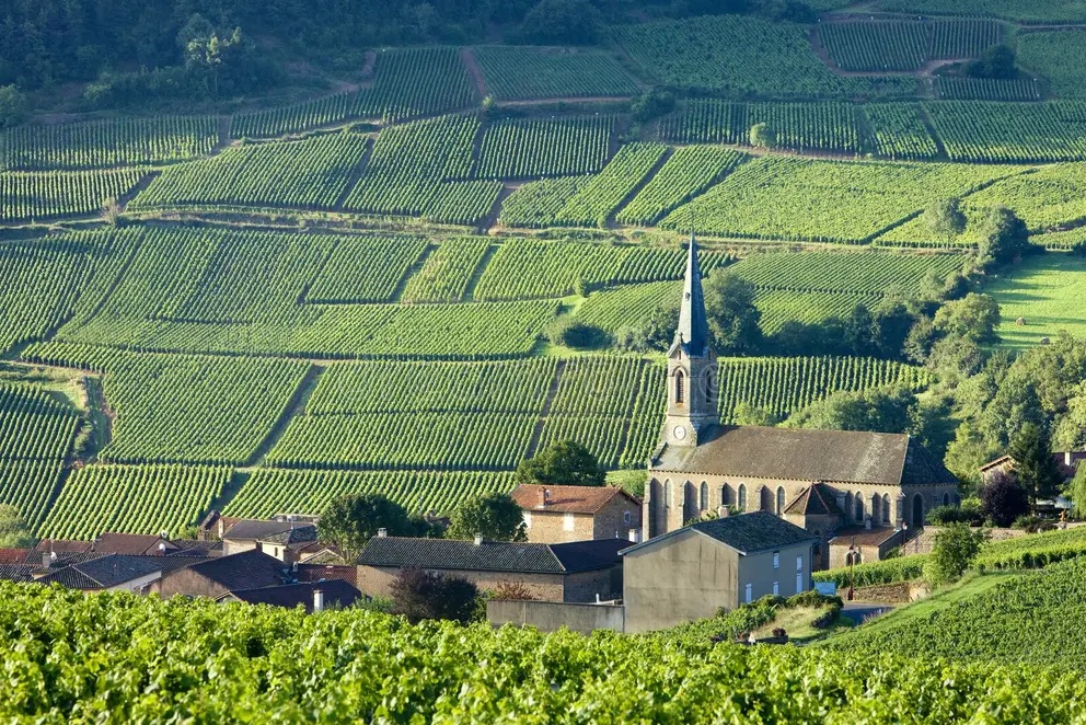 Wijngaarden en dorp met kerk in Bourgogne