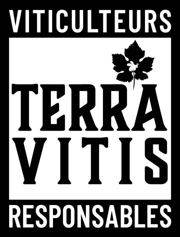 Terra Vitis logo