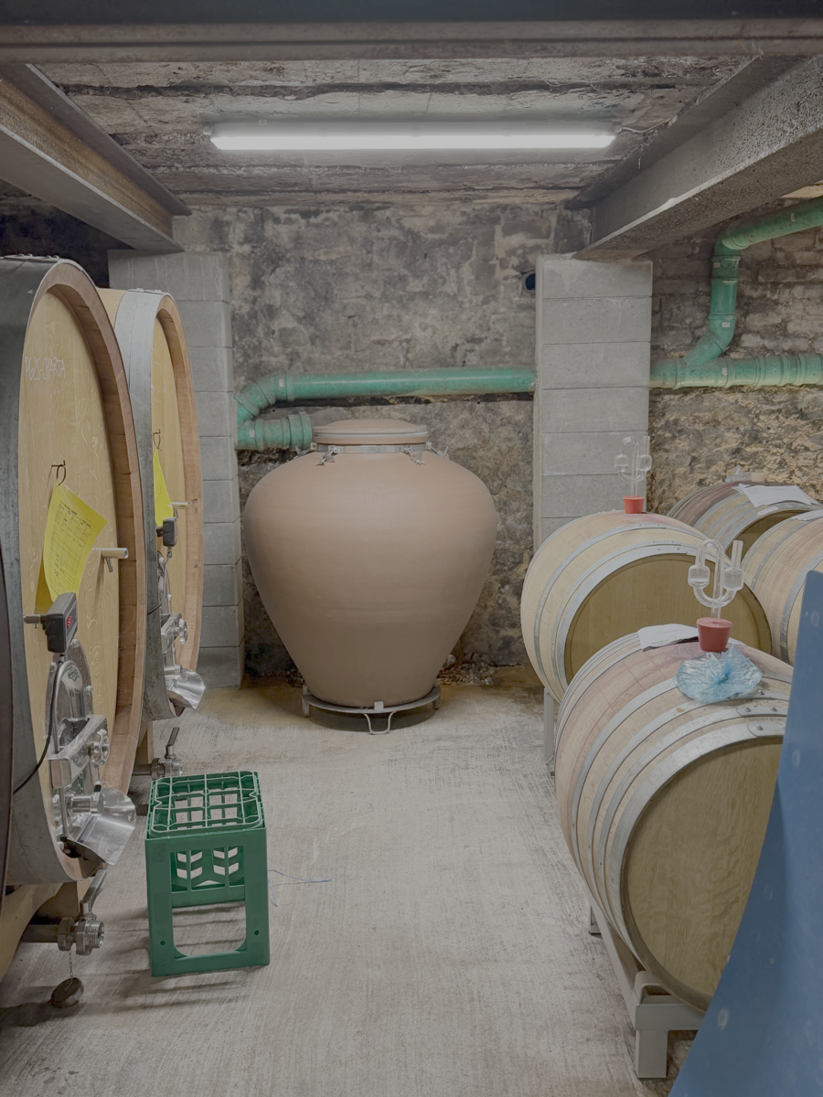 Kelder met foudres, barriques en keramisch gistvat