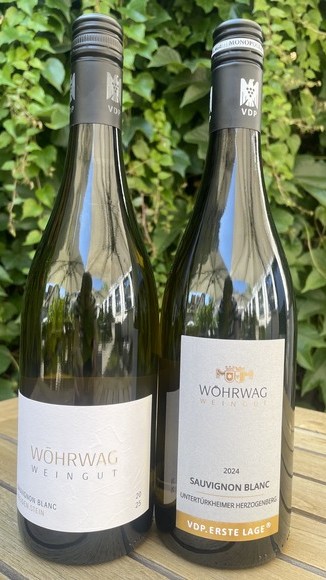Fumé Blanc 2024 van Weingut Wöhrwag