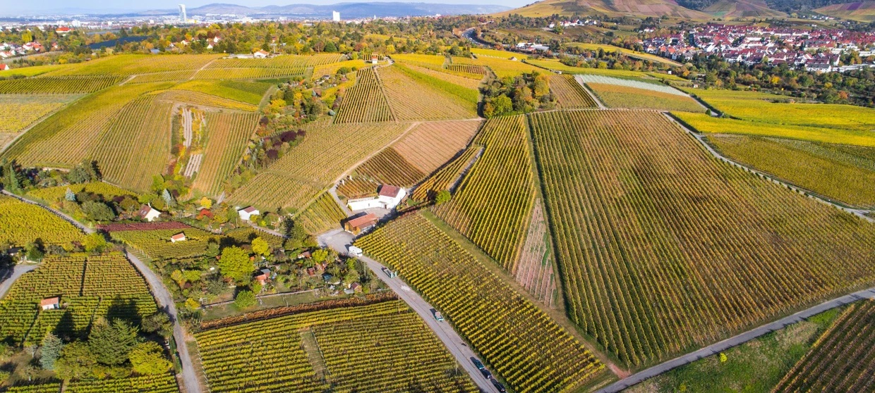 Luchtfoto wijngaarden Wöhrwag bij Stuttgart